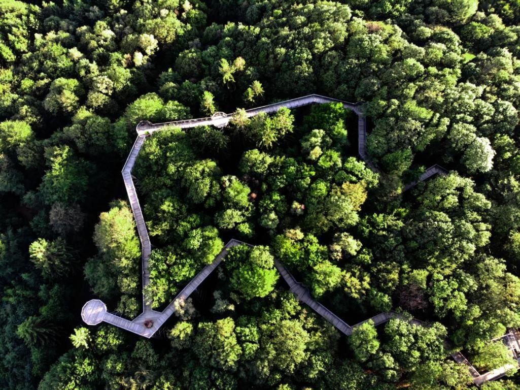 Parkhotel Нюмбрехт Экстерьер фото